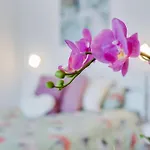 Estudio Cardon * Arona (Tenerife)