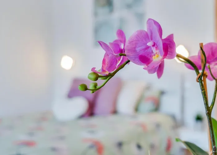 Estudio Cardon * Arona (Tenerife)