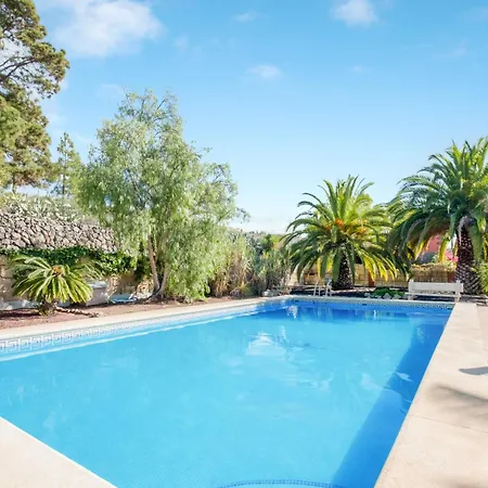 Estudio Cardon Arona (Tenerife)