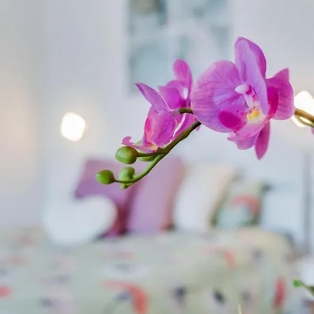 Estudio Cardon * Arona (Tenerife)