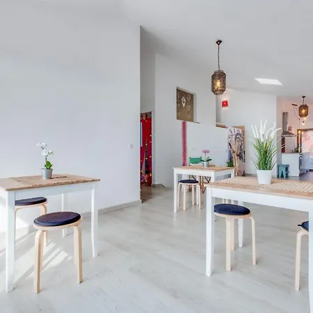 Estudio Cardon Arona (Tenerife)